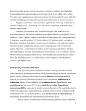 Eurovaliutos paskolų rinkos bruožai 4 puslapis