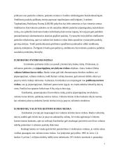 Eurovaliutos paskolų rinkos bruožai 6 puslapis