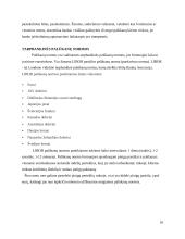 Eurovaliutos paskolų rinkos bruožai 9 puslapis