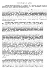 Želdinių įtaka aplinkai 1 puslapis