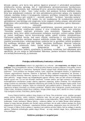 Želdinių įtaka aplinkai 11 puslapis