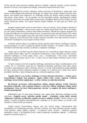 Želdinių įtaka aplinkai 5 puslapis