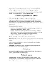 Izomerai, angliavandeniliai ir alkoholiai 3 puslapis