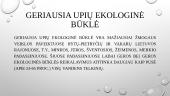 Lietuvos vandenų užterštumas 4 puslapis