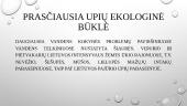 Lietuvos vandenų užterštumas 5 puslapis