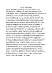 Novelė Vagis analizė