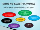 Druskų klasifikavimas, sandara, gavimo būdai, rūšys bei naudojimas 3 puslapis