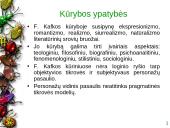 Francas Kafka ir jo kūryba 11 puslapis