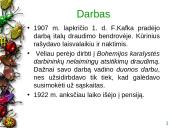 Francas Kafka ir jo kūryba 6 puslapis