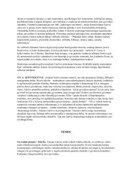 Antanas Škėma. BIografija bei kūryba 3 puslapis