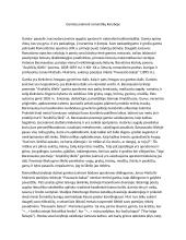 Gamtos įvairovė romantikų kūryboje rašinys