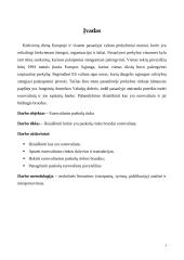 Eurovaliutos paskolų rinkos bruožai. 2 puslapis