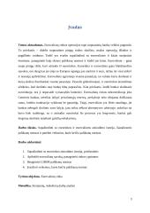 Eurovaliutų rinkos palūkanų normos kitimo veiksniai 2 puslapis