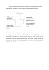 Eurovaliutų rinkos palūkanų normos kitimo veiksniai 7 puslapis