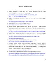 Euro valiutos vaidmuo tarptautinėje finansų sistemoje 10 puslapis