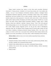 Euro valiutos vaidmuo tarptautinėje finansų sistemoje 2 puslapis