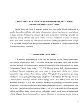 Euro valiutos vaidmuo tarptautinėje finansų sistemoje 7 puslapis