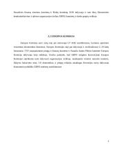 Euro valiutos vaidmuo tarptautinėje finansų sistemoje 8 puslapis