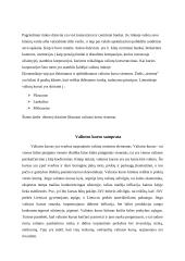 Fiksuoto valiutos kurso sistemos naudojimo salygos 3 puslapis