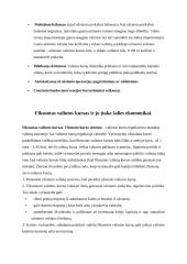 Fiksuoto valiutos kurso sistemos naudojimo salygos 6 puslapis