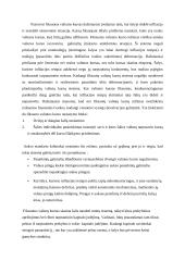 Fiksuoto valiutos kurso sistemos naudojimo salygos 8 puslapis