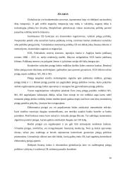 Globalizacijos poveikis tarptautinei pinigų politikai 11 puslapis