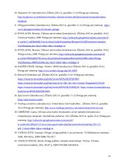 Globalizacijos poveikis tarptautinei pinigų politikai 13 puslapis