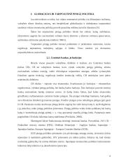 Globalizacijos poveikis tarptautinei pinigų politikai 4 puslapis