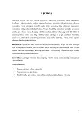 Intervencijos valiutų rinkose tikslai 2 puslapis