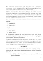 Intervencijos valiutų rinkose tikslai 6 puslapis