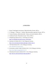 Intervencijos valiutų rinkose: tikslai, pasekmės  11 puslapis