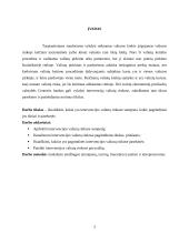 Intervencijos valiutų rinkose: tikslai, pasekmės  2 puslapis