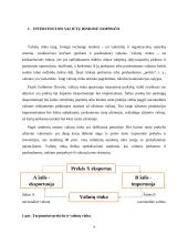 Intervencijos valiutų rinkose: tikslai, pasekmės  3 puslapis