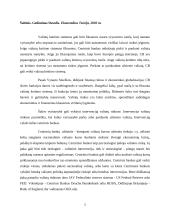 Intervencijos valiutų rinkose: tikslai, pasekmės  4 puslapis