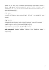 Išėjimo iš Europos pinigų sąjungos galimybės 3 puslapis