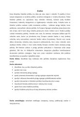 Iždo politikos disciplinos reguliavimas Euro zonoje 2 puslapis