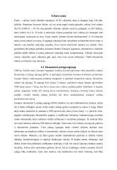 Iždo politikos disciplinos reguliavimas Euro zonoje 4 puslapis