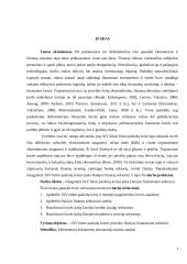 JAV būsto paskolų krizės įtaka Danijos finansiniam sektoriui 2 puslapis