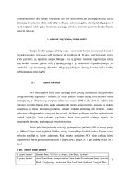 JAV būsto paskolų krizės įtaka Danijos finansiniam sektoriui 5 puslapis