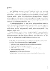 JAV būsto paskolų krizės įtaka Norvegijos finansiniam sektoriui 2 puslapis