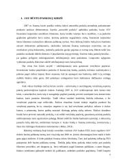 JAV būsto paskolų krizės įtaka Norvegijos finansiniam sektoriui 3 puslapis