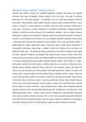 Kam lietuvai reikalingi užsienio valiuotos rezervai Lietuvai prisijungus prie Euro zonos 3 puslapis