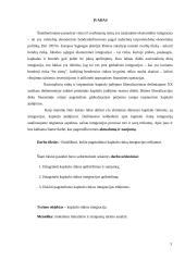 Kapitalo rinkos integracijos trūkumai 2 puslapis