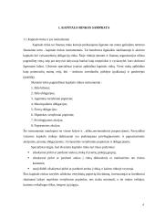 Kapitalo rinkos integracijos trūkumai 3 puslapis