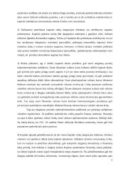 Kapitalo rinkos integracijos trūkumai 5 puslapis