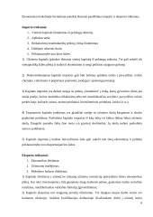 Kapitalo rinkos integracijos trūkumai 7 puslapis