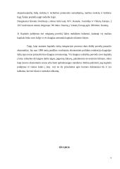 Kapitalo rinkos integracijos trūkumai 8 puslapis