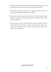 Kapitalo rinkos integracijos trūkumai 9 puslapis