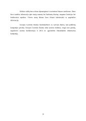 Latvijos euro įvedimo strategijos vertinimas 9 puslapis