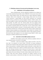 Lietuvos mokėjimų sistemos pakitimas įstojus į Euro zoną 4 puslapis